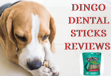 Dingo Dental Sticks Reviews