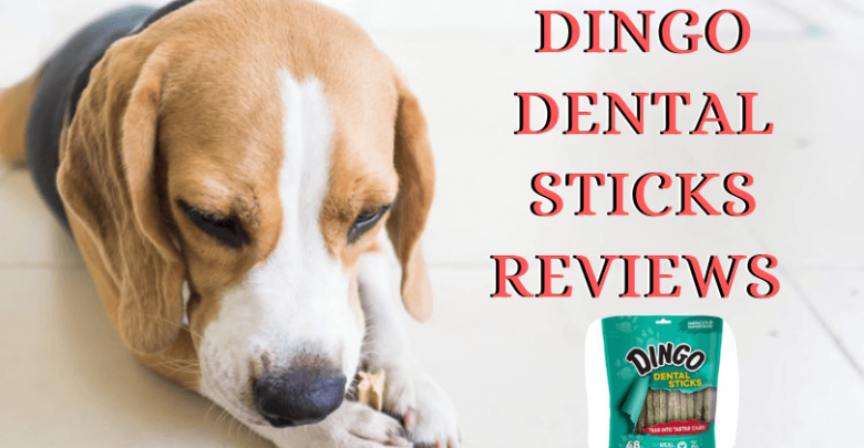 Dingo Dental Sticks Reviews