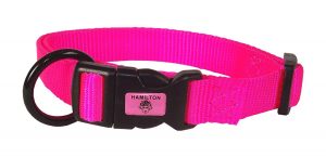 Hamilton Nylon Dog Collar
