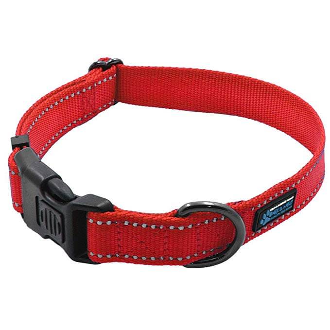 Best Dog Collar for Sensitive Skin and Neck They Deserve the Best!