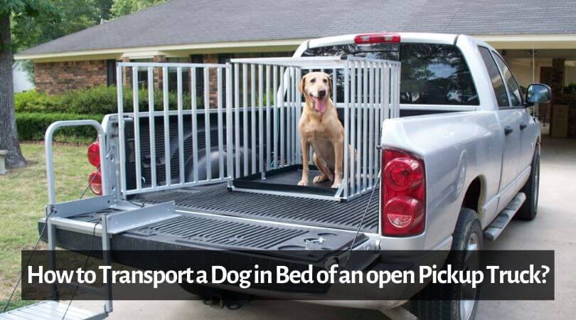 Bed of an open Pickup Truck: Safe Guide