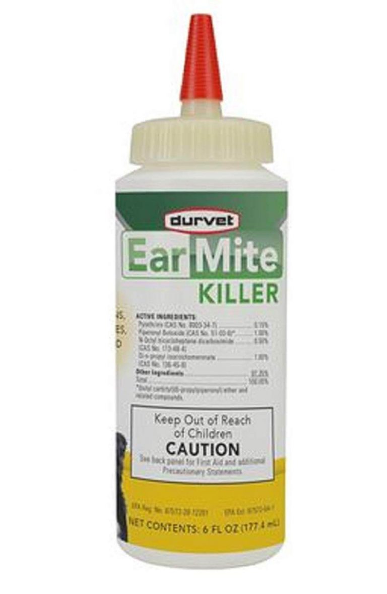 Best Ear Mite Medicine for Dogs – Ease that Itch with Ease!