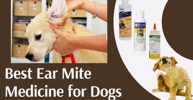 Ear Mite Medicine for Dogs