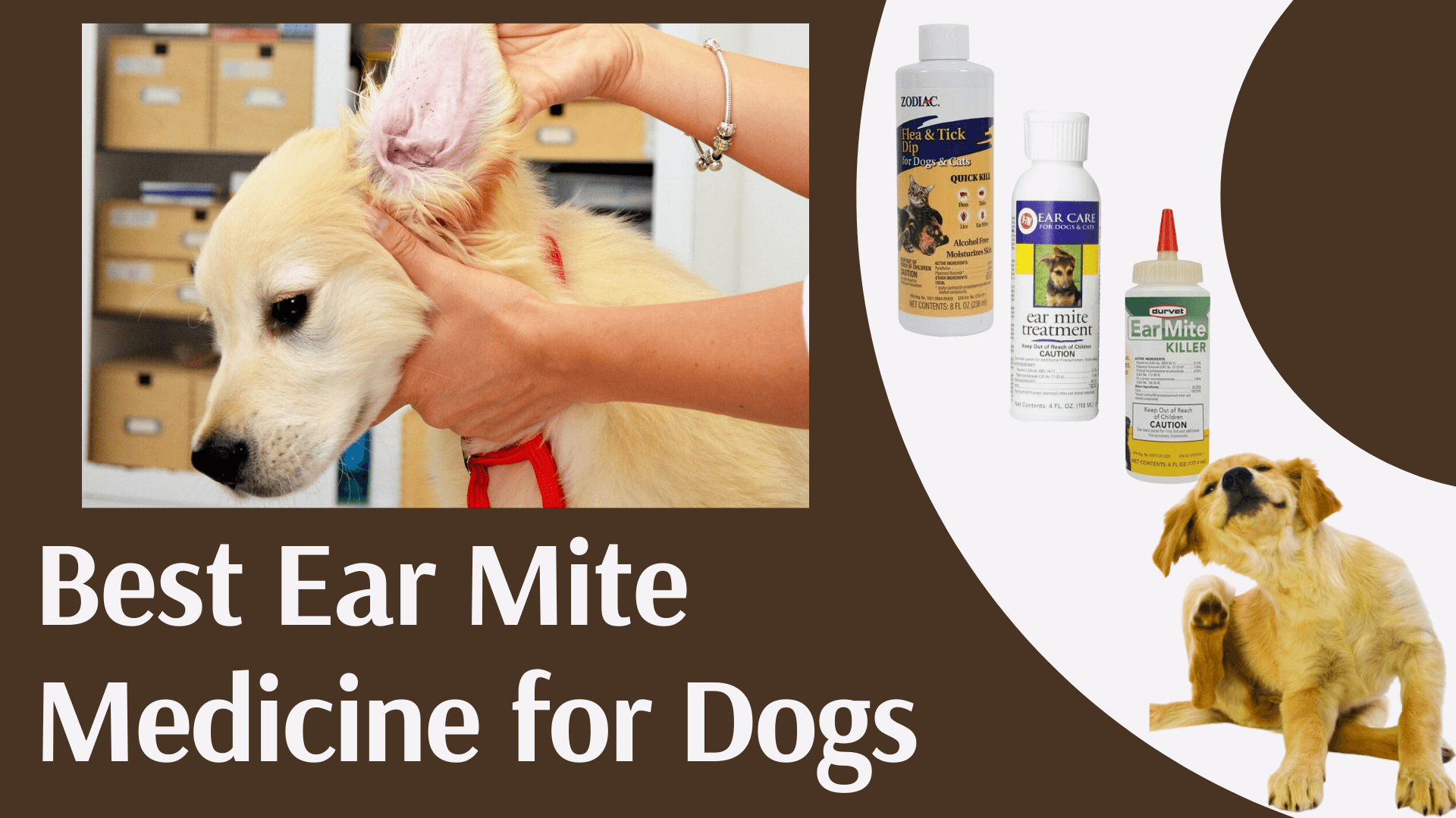 best flea and mite treatment for dogs