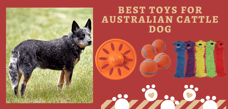 toys for Australian cattle dog