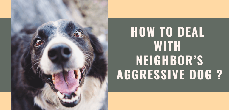 How to Deal with Neighbor's Aggressive Dog