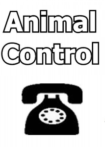 Animal Control