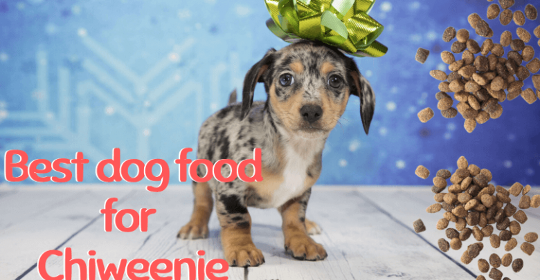 dog food for Chiweenie