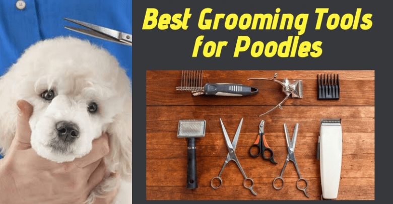 grooming tools for poodles