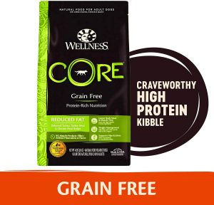 Wellness Core Natural Dog Food – Dry