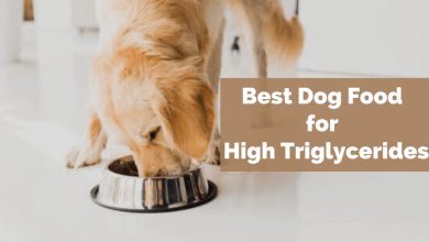 Best dog food for high triglycerides