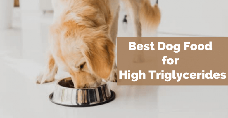 Best dog food for high triglycerides