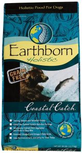 Earthborn Holistic Dry Dog Food