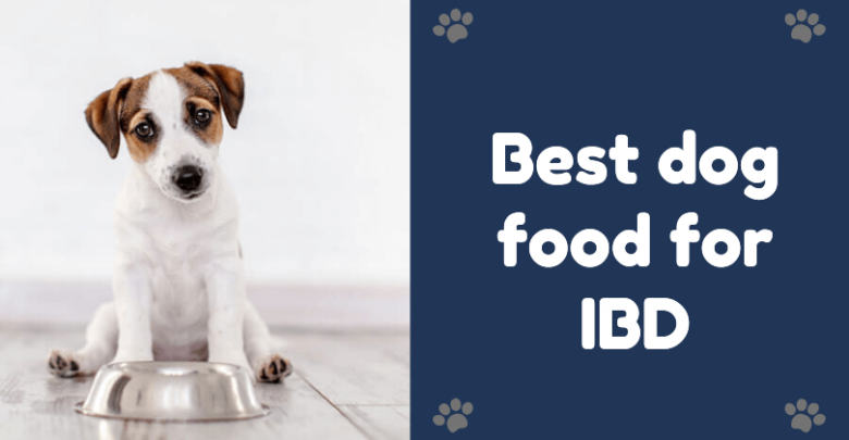 Best dog food for IBD