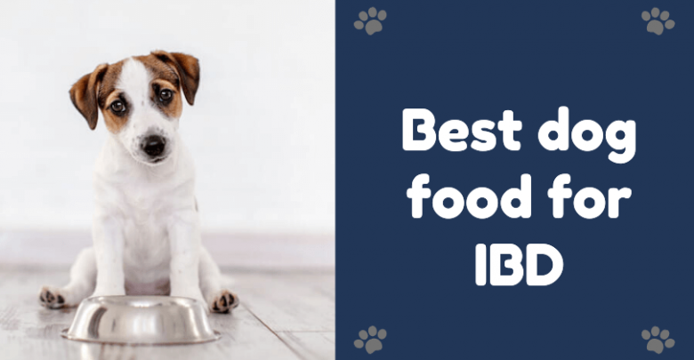 what to feed a dog with ibd