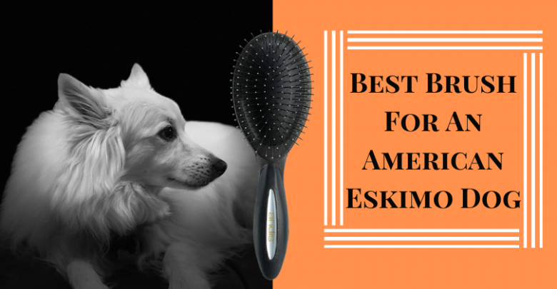 Best Brush For An American Eskimo Dog