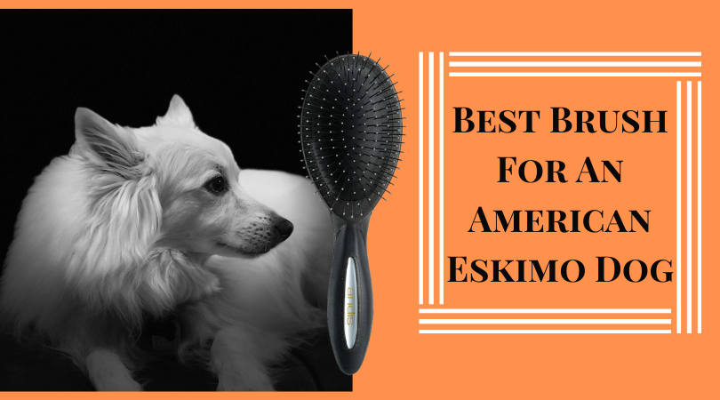 Best brush for 2025 american eskimo dog