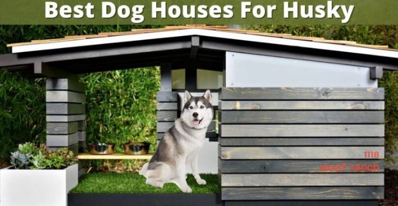 Best Dog Houses For Husky (1)