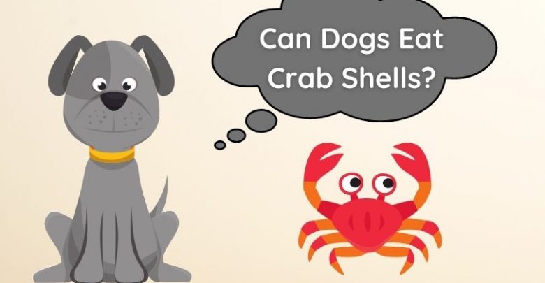 Can Dogs Eat Crab Shells