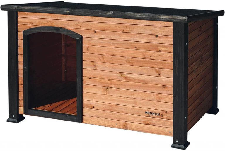 Best Dog Houses For Husky – Top Choices To Pick From