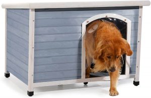 Petsfit Outdoor Wooden Dog House