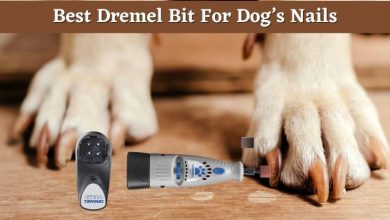 Best Dremel Bit For Dog’s nails