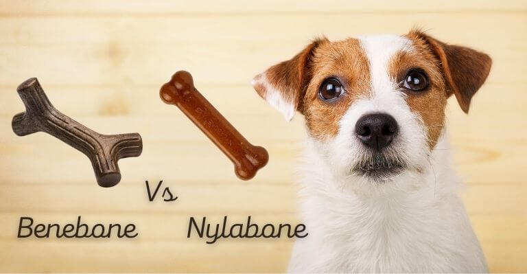 Benebone vs Nylabone