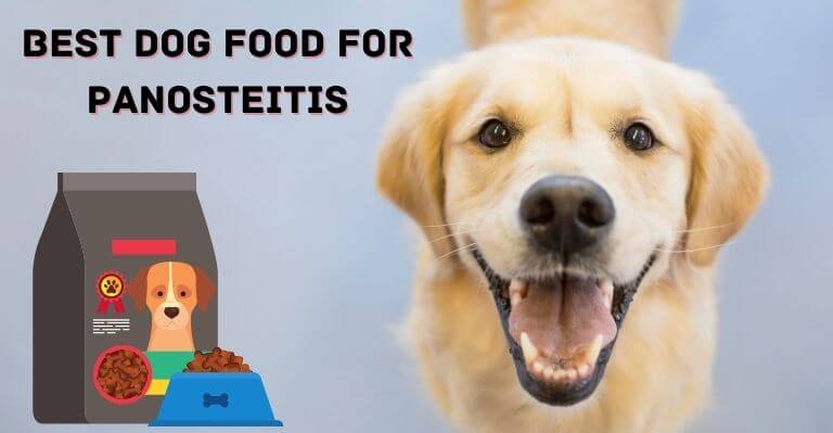 Best dog food for Panosteitis