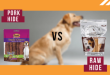 Pork Hide VS Rawhide – Which One Is Good For Dogs