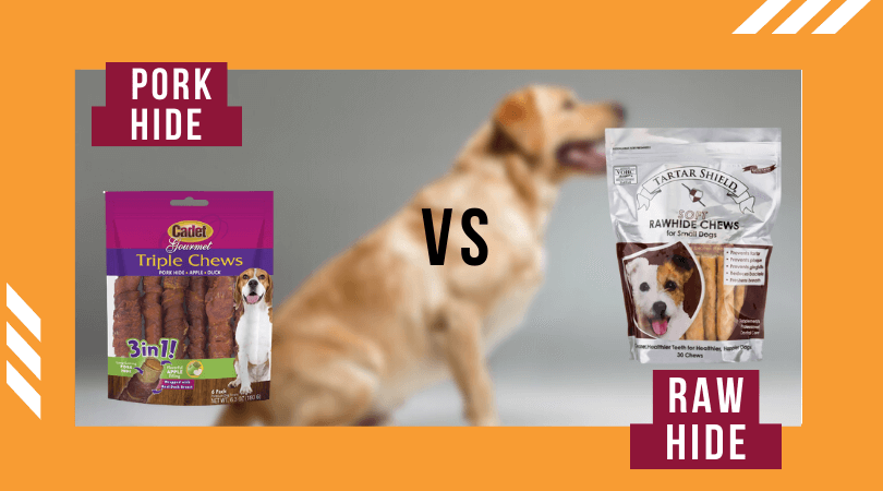 Pork Hide VS Rawhide – Which One Is Good For Dogs?