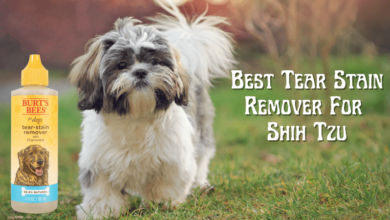 Best Tear Stain Remover For Shih Tzu