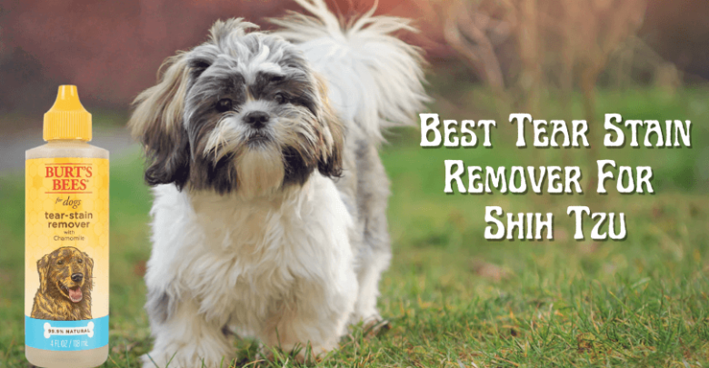 Best Tear Stain Remover For Shih Tzu