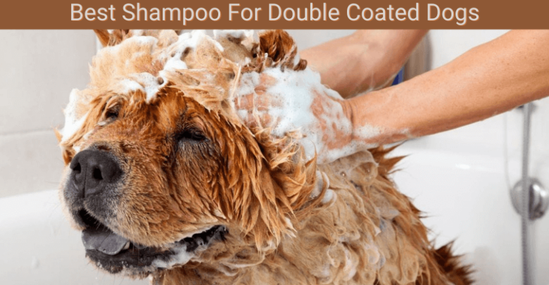 Best Shampoo For Double Coated Dogs